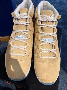 Air Jordan 11 Retro H-Town